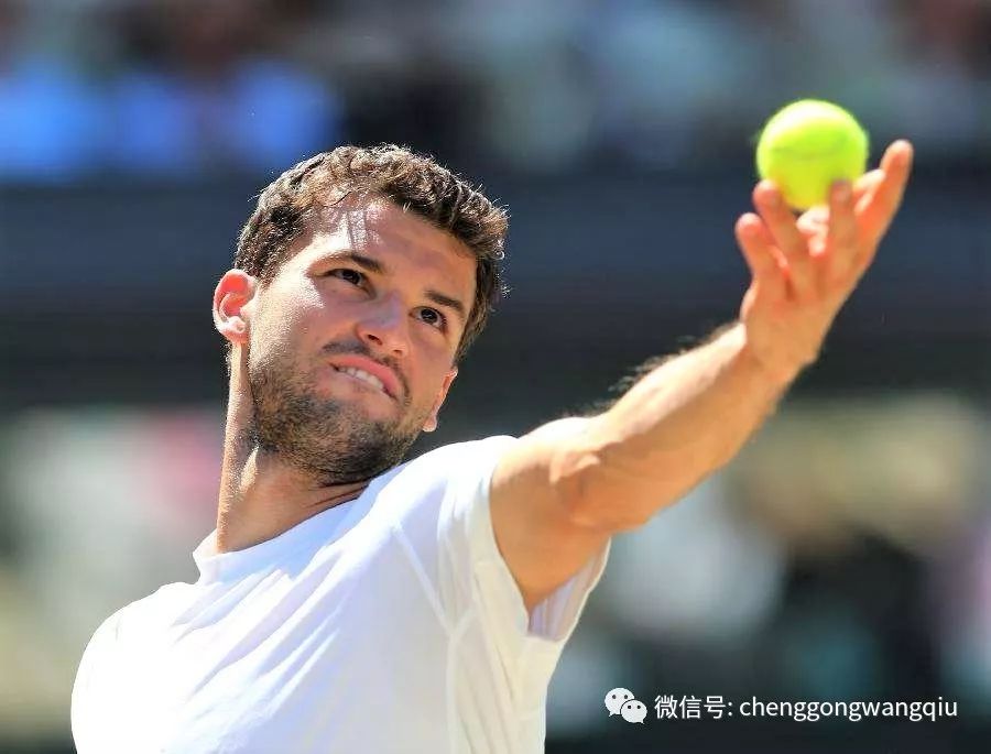 的球员似乎 的球员似乎